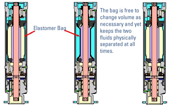 Protector Bag Zentek